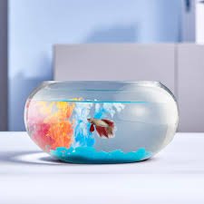 Glass Fish Bowl